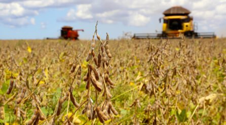 Fenômeno La Niña pode ser o terror para a agricultura brasileira em 2025