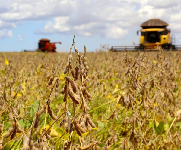 Fenômeno La Niña pode ser o terror para a agricultura brasileira em 2025